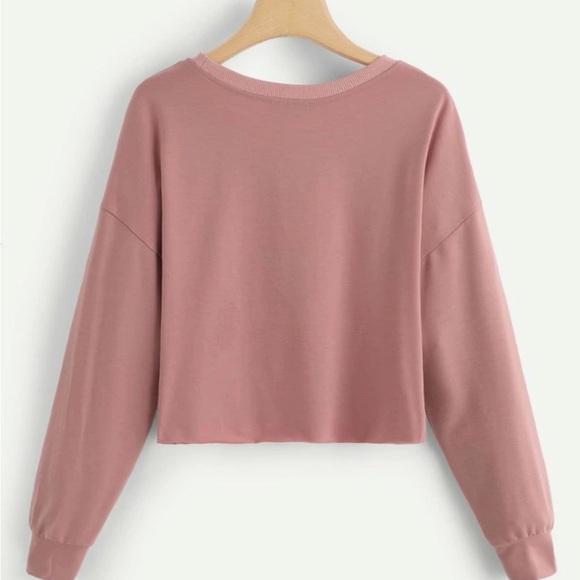 Beautiful Soft Rose Long Sleeve Crop Top - Picture 2 of 4